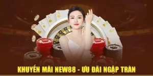 Khuyến Mãi Siêu VIP New88